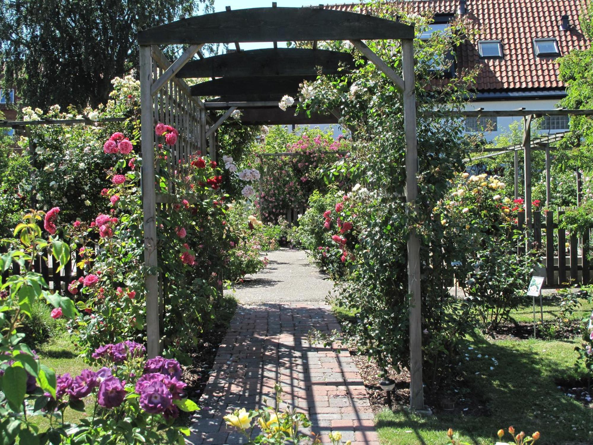 Hotell Turistgarden I Simrishamn Exterior foto